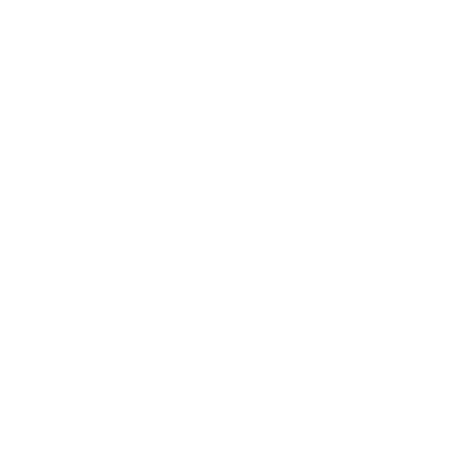 BIRD DROPPING